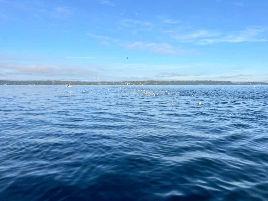 Fishing Puget Sound